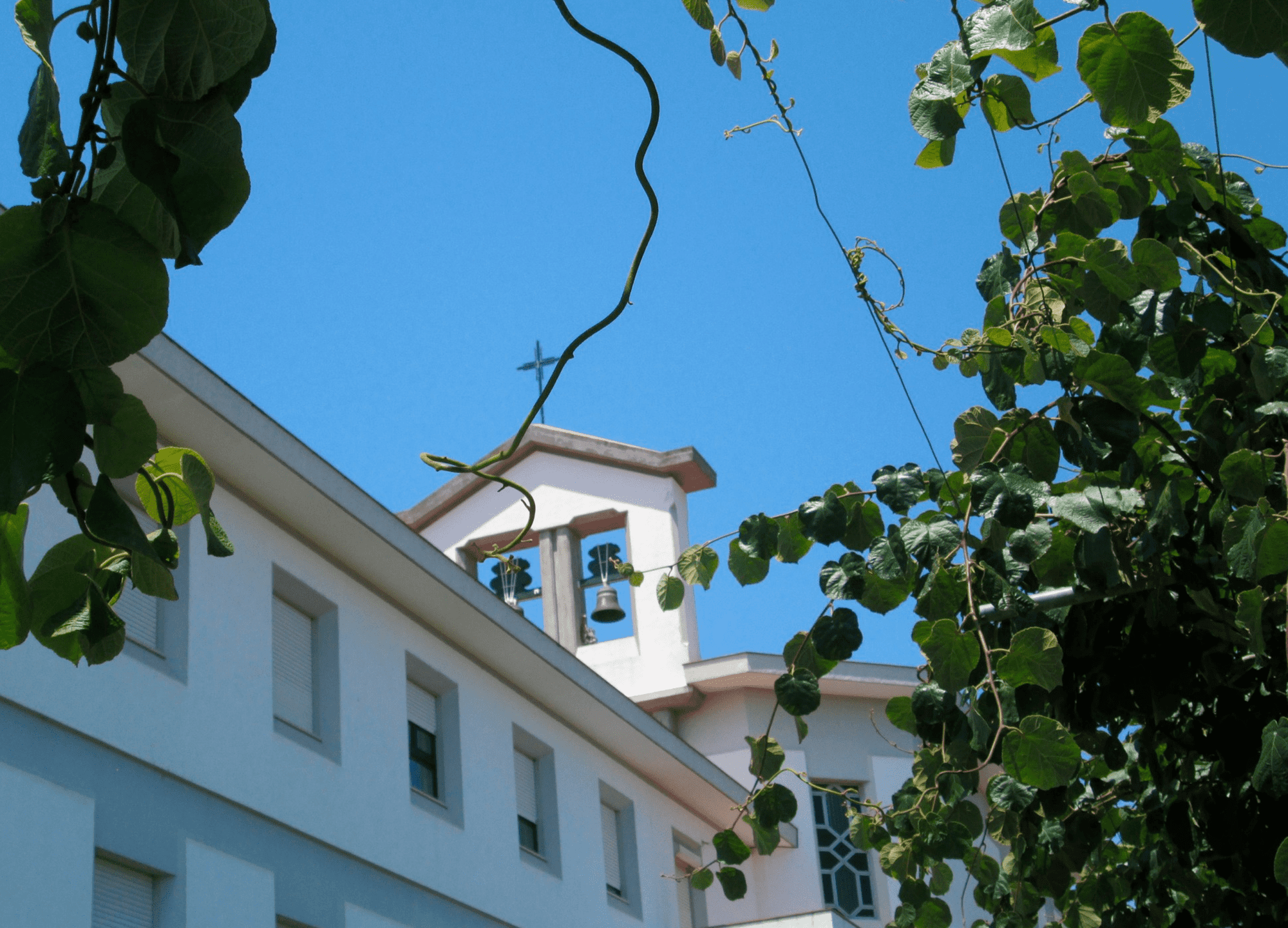 Clara de Assis amou a Igreja